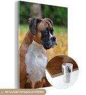 Boxer entre les feuilles d'automne jaunes Plexiglas 60x80 cm - Tirage photo sur verre (décoration murale en plexiglas)