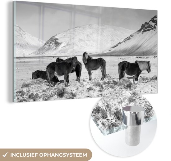 MuchoWow® Glasschilderij 40x20 cm - Schilderij acrylglas - Besneeuwde bergen met IJslander paarden - zwart wit - Foto op glas - Schilderijen