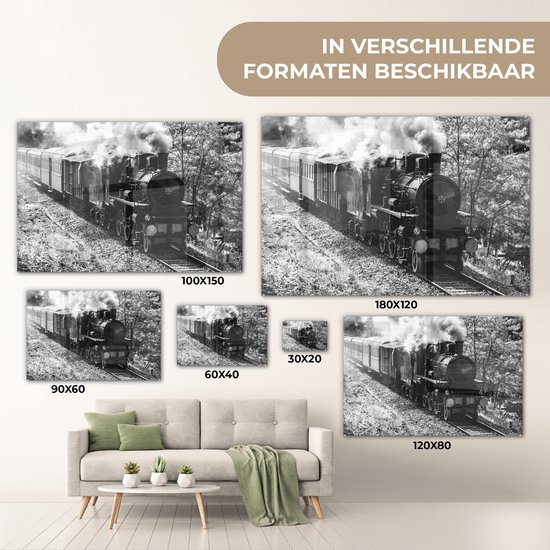 MuchoWow® Peinture sur verre 30x20 cm - Peinture sur verre acrylique - Photo Zwart et blanc d'un train à vapeur au milieu des prés - noir et blanc - Photo sur verre - Peintures