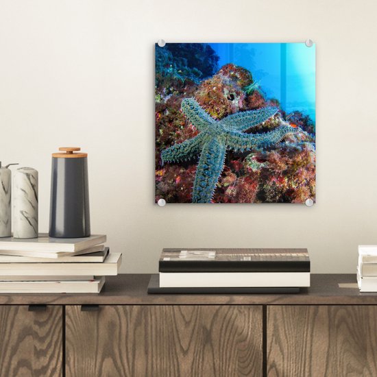 MuchoWow® Peinture sur verre 20x20 cm - Peinture sur verre acrylique - Étoile de mer - Corail - Animaux - Photo sur verre - Peintures