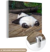 MuchoWow® Glasschilderij 20x20 cm - Schilderij acrylglas - Panda - Hout - Dieren - Foto op glas - Schilderijen