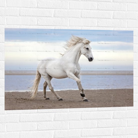 Muursticker - Sierlijk Wit Paard lopend over het Strand aan de Zee - 105x70 cm Foto op Muursticker