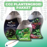 CO2 Plant Growth Package pour plantes d'aquarium