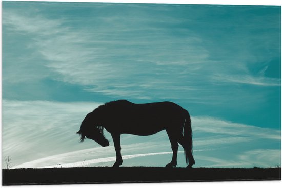 Vlag - Silhouet van Buigend Paard onder Stralend Blauwe Lucht - 75x50 cm Foto op Polyester Vlag