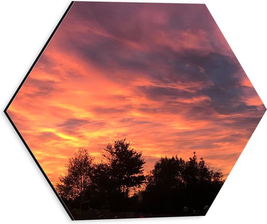 Dibond Hexagon - Roze Gloed in Lucht boven Silhouet van Bomen - 30x26.1 cm Foto op Hexagon (Met Ophangsysteem)