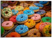 Dibond - Rij Verse Donuts met Verschillende Kleuren Sprinkles - 40x30 cm Foto op Aluminium (Wanddecoratie van metaal)