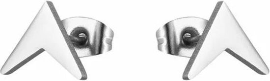 Aramat jewels ® - Oorbellen pijl zweerknopjes chirurgisch staal 9mm