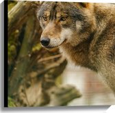 Canvas - Liggende Wolf tussen Takken en Bladeren - 60x60 cm Foto op Canvas Schilderij (Wanddecoratie op Canvas)