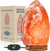 Grande lampe au sel de Himalaya à intensité variable 4-5 kg - Lampe de table - Lampe d'ambiance - Veilleuse en pierre de sel - Intensité variable - Incl. Ebook – Cadeau