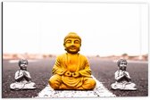 Dibond - Gouden en Zilveren Miniatuur Buddha_s op Asfalt weg - 60x40 cm Foto op Aluminium (Wanddecoratie van metaal)