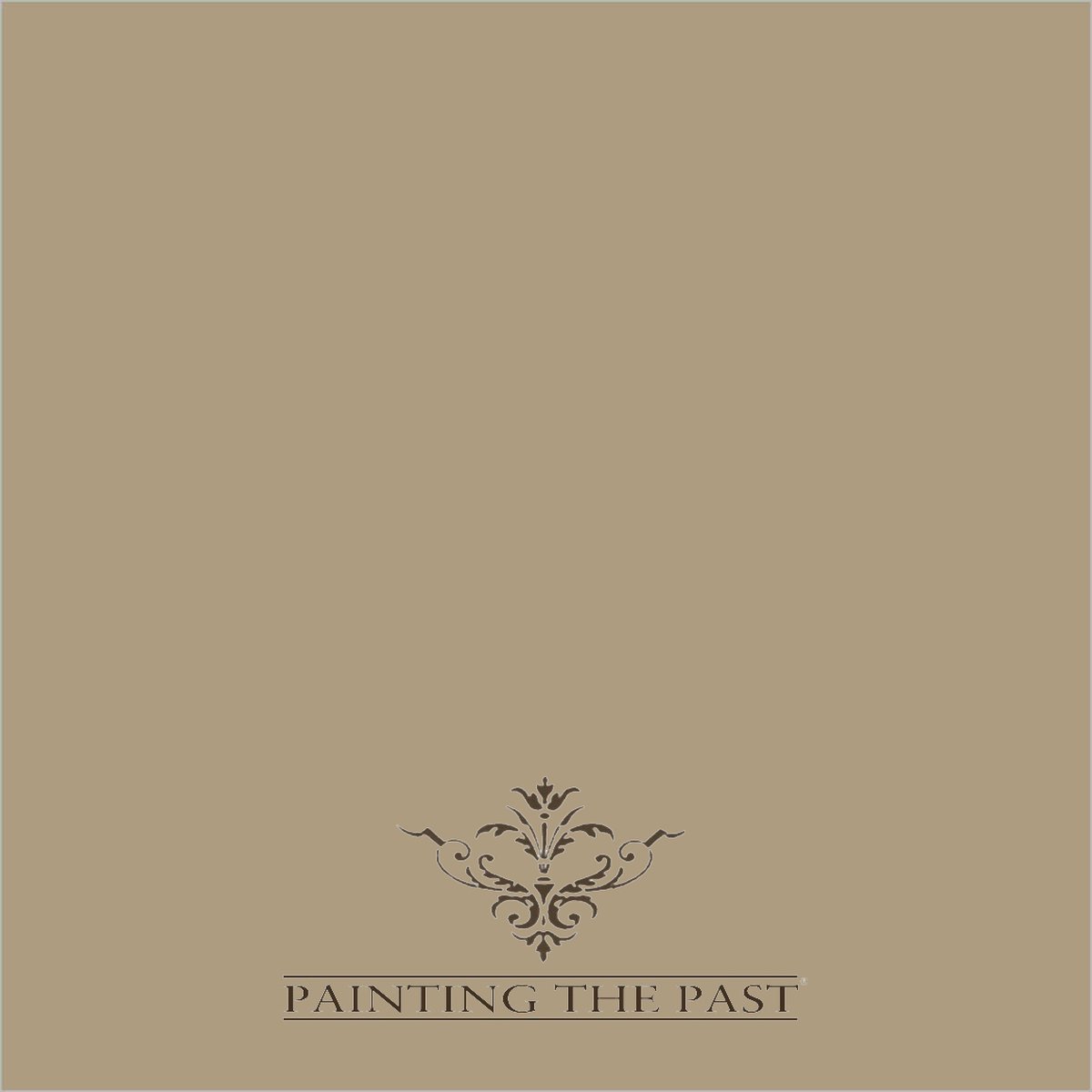Painting The Past Proefpotje - Mocha - 60 ml - Kleurtester - Verf Tester