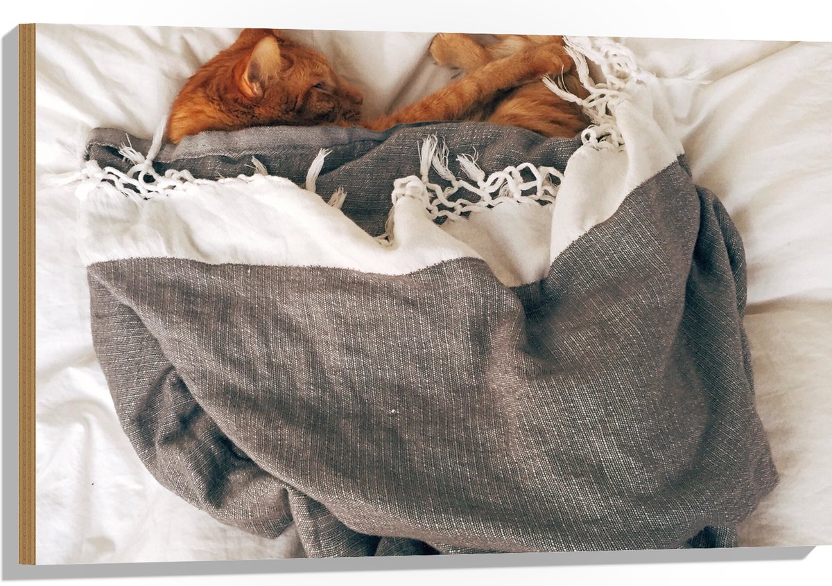 Hout - Rode Kat onder Deken op Bed - 90x60 cm - 9 mm dik - Foto op Hout (Met Ophangsysteem