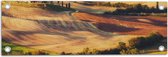 Tuinposter – Natuurlandschap in de Zomerse Zonnestralen - 60x20 cm Foto op Tuinposter (wanddecoratie voor buiten en binnen)