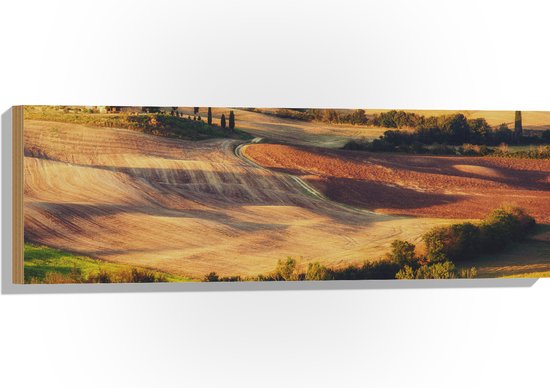 Hout - Natuurlandschap in de Zomerse Zonnestralen - 90x30 cm - 9 mm dik - Foto op Hout (Met Ophangsysteem)