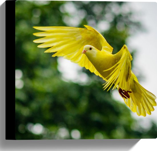 Canvas - Vliegende Gele Vogel met Gespreide Vogels voor Bomen - 30x30 cm Foto op Canvas Schilderij (Wanddecoratie op Canvas)