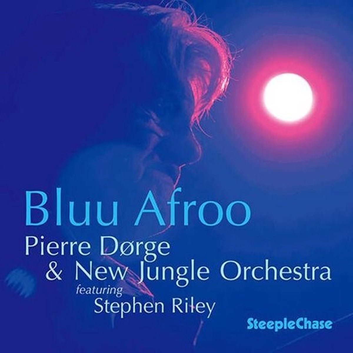 Pierre Dørge & New Jungle Orchestra - Bluu Afroo (CD)