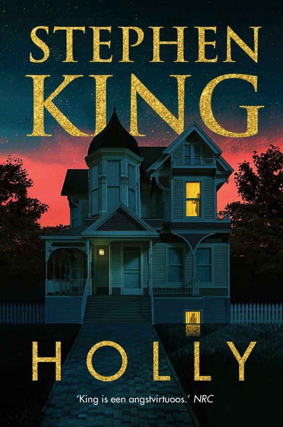 Boek: Holly, geschreven door Stephen King