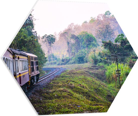 WallClassics - Feuille de mousse PVC Hexagone - Train thaïlandais à travers la réserve naturelle verte en Thaïlande - 60x52,2 cm Photo sur Hexagone (avec système de suspension)