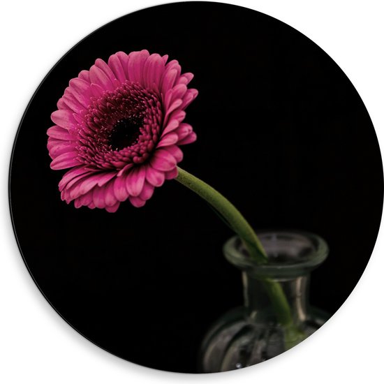 Dibond Muurcirkel - Roze Bloem in Vaas bij Zwarte Achtergrond - 50x50 cm Foto op Aluminium Muurcirkel (met ophangsysteem)
