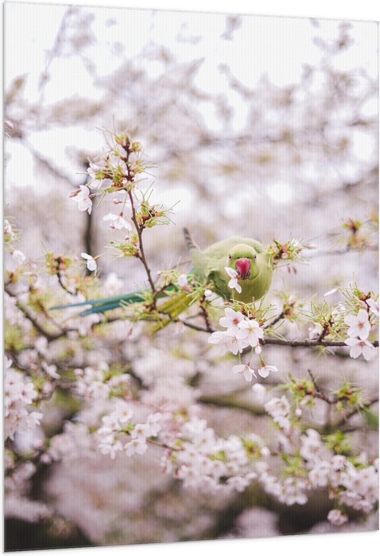 Vlag - Groene Vogel tussen de Roze Bloesem - 100x150 cm Foto op Polyester Vlag