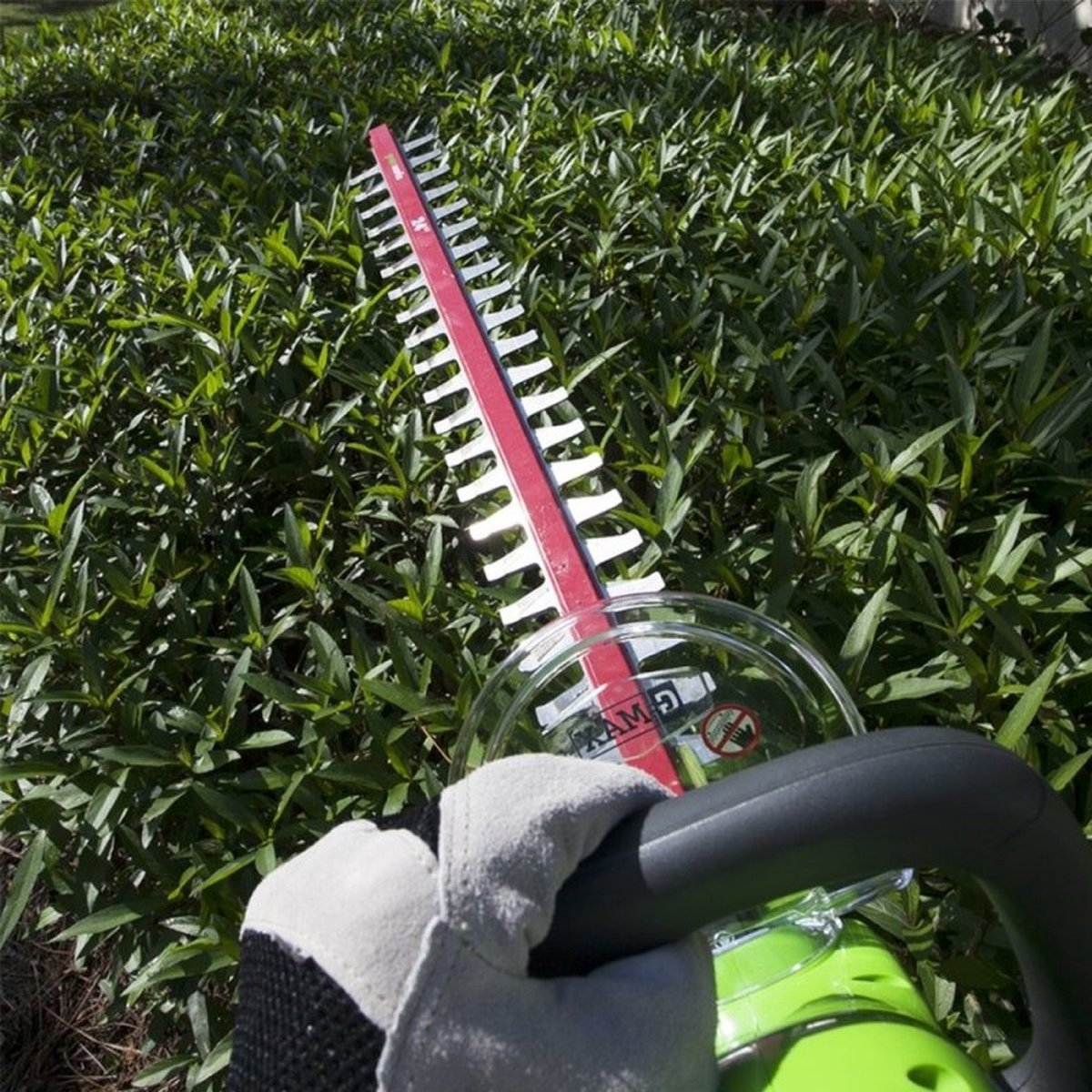 Greenworks G40HT61K2 40V Taille-haie sans fil - avec batterie 2 Ah et chargeur
