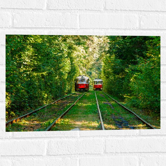 Muursticker - Twee Rode Trams op Tramrails door Groenrijk Bos - 60x40 cm Foto op Muursticker