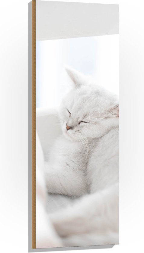 Hout - Witte Kat slapend tegen Witte Bank - 40x120 cm - 9 mm dik - Foto op Hout (Met Ophangsysteem)