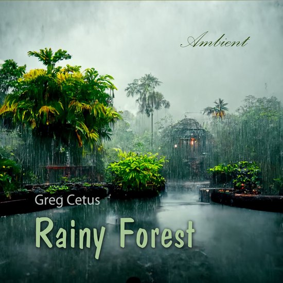 Rainy Forest - cover