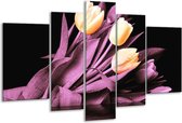 Glasschilderij Tulp - Oranje, Paars, Zwart - 170x100cm 5Luik - Foto Op Glas - Geen Acrylglas Schilderij - 6000+ Glasschilderijen Collectie - Wanddecoratie