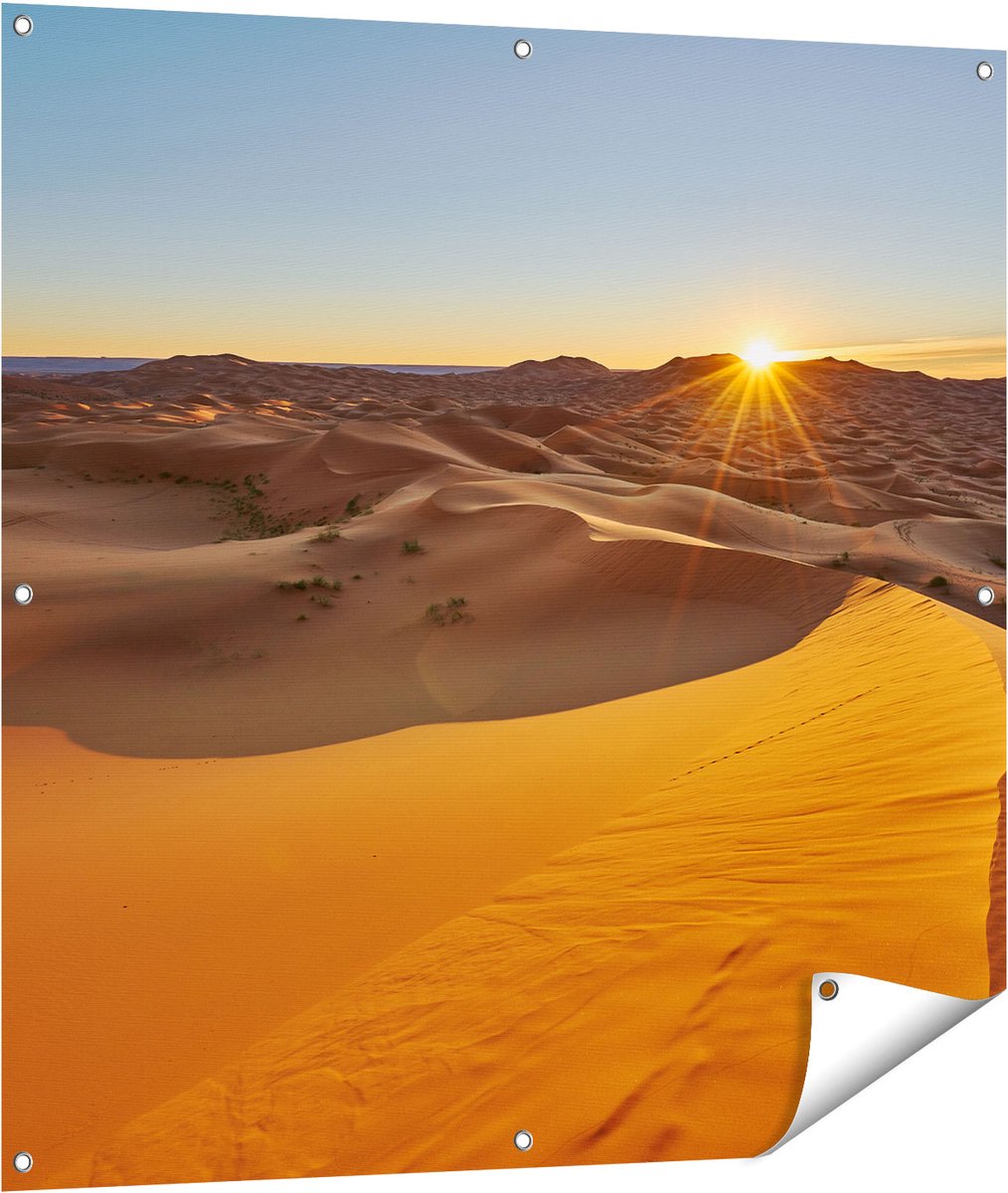 Gards Tuinposter Woestijn in de Sahara met een Opkomende Zon - 100x100 cm - Tuindoek - Tuindecoratie - Wanddecoratie buiten - Tuinschilderij Multikleur