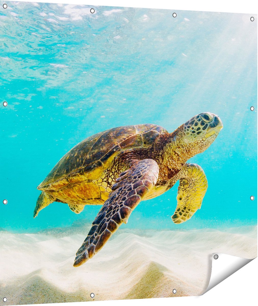 Gards Tuinposter Schildpad Zwemt in de Helder Blauwe Zee - 110x110 cm - Tuindoek - Tuindecoratie - Wanddecoratie buiten - Tuinschilderij Multikleur