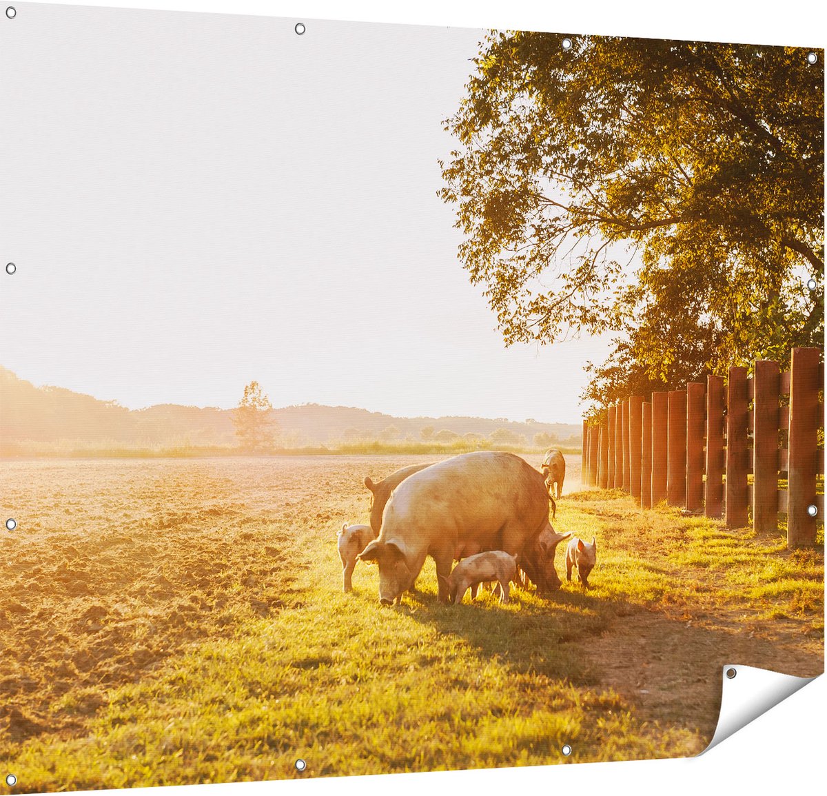 Gards Tuinposter Varken Familie - Varkens - 150x120 cm - Tuindoek - Tuindecoratie - Wanddecoratie buiten - Tuinschilderij Multikleur