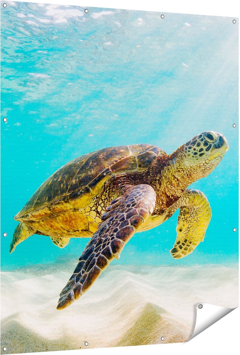Gards Tuinposter Schildpad Zwemt in de Helder Blauwe Zee - 120x150 cm - Tuindoek - Tuindecoratie - Wanddecoratie buiten - Tuinschilderij Multikleur