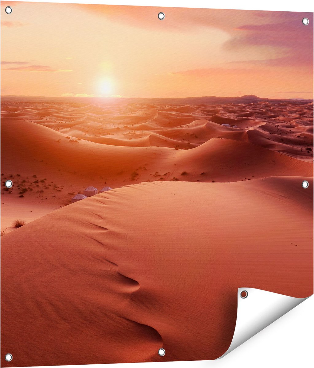Gards Tuinposter Woestijn in de Sahara bij Zonsondergang - 80x80 cm - Tuindoek - Tuindecoratie - Wanddecoratie buiten - Tuinschilderij Multikleur