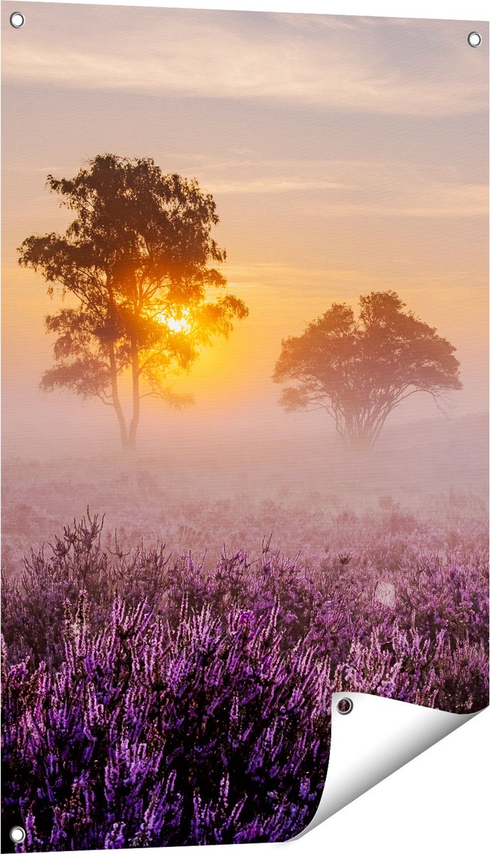 Gards Tuinposter Weide in de Veluwe bij Zonsondergang - 60x90 cm - Tuindoek - Tuindecoratie - Wanddecoratie buiten - Tuinschilderij Multikleur
