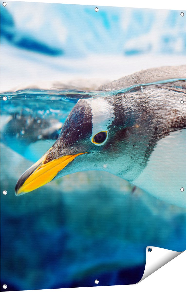 Gards Tuinposter Pingu�n Zwemt onder Water - 90x120 cm - Tuindoek - Tuindecoratie - Wanddecoratie buiten - Tuinschilderij Multikleur