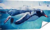 Gards Tuinposter Pingu�n Zwemt in het Water - 120x60 cm - Tuindoek - Tuindecoratie - Wanddecoratie buiten - Tuinschilderij