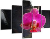 Glasschilderij -  Orchidee - Rood, Zwart, Grijs - 100x70cm 5Luik - Geen Acrylglas Schilderij - GroepArt 6000+ Glasschilderijen Collectie - Wanddecoratie- Foto Op Glas