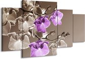 GroepArt - Schilderij -  Orchidee - Bruin, Paars - 160x90cm 4Luik - Schilderij Op Canvas - Foto Op Canvas