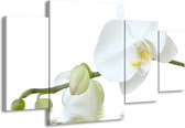 GroepArt - Schilderij -  Orchidee - Wit, Groen, Geel - 160x90cm 4Luik - Schilderij Op Canvas - Foto Op Canvas