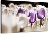 Peinture sur toile Tulipes | Violet, gris, blanc | 140x90cm 1 Liège