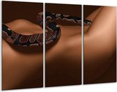 Peinture sur toile Serpent | Marron noir | 120x80cm 3 Liège