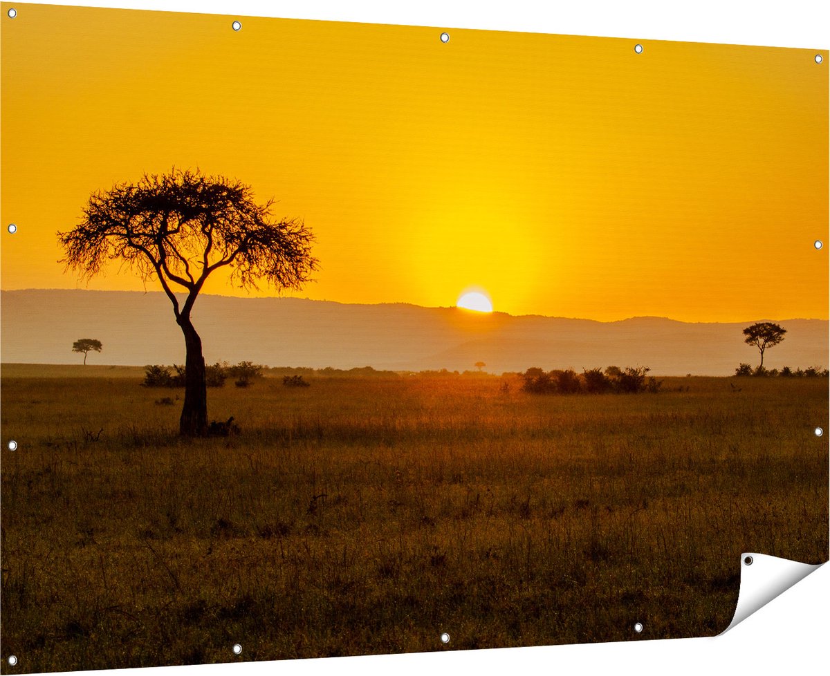 Gards Tuinposter Zonsopgang in de Savanne met een Boom - 180x120 cm - Tuindoek - Tuindecoratie - Wanddecoratie buiten - Tuinschilderij Multikleur