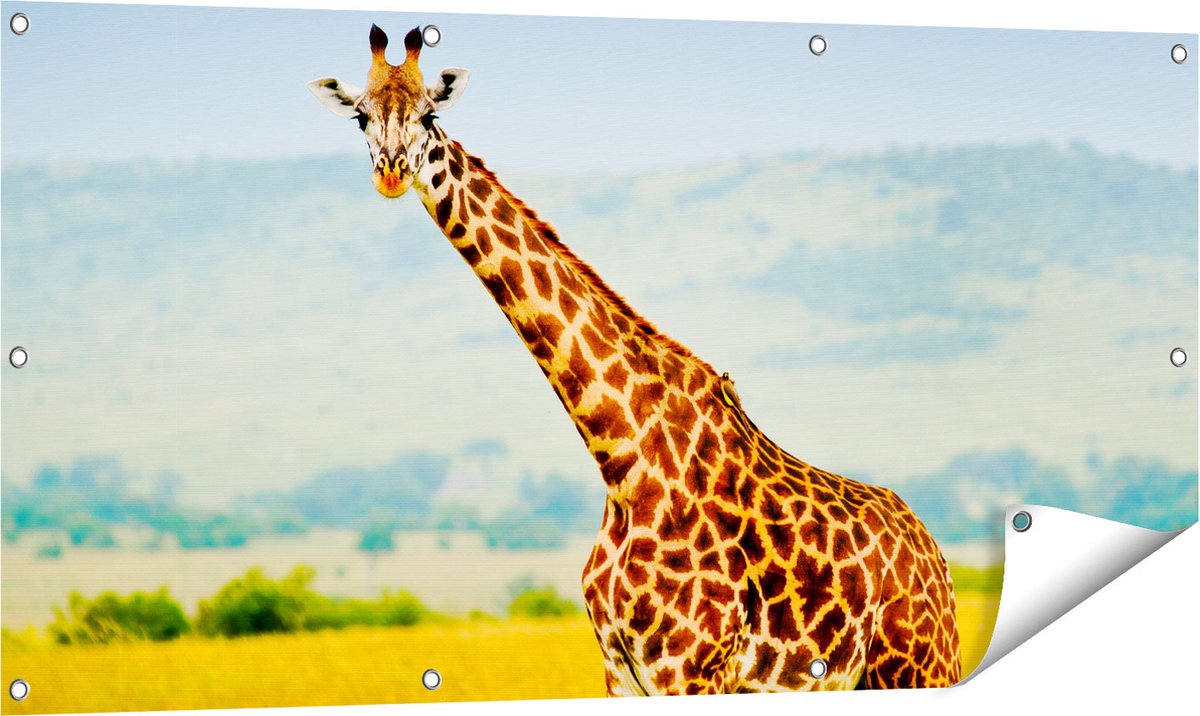 Gards Tuinposter Giraffe in het Veld - 120x60 cm - Tuindoek - Tuindecoratie - Wanddecoratie buiten - Tuinschilderij Multikleur