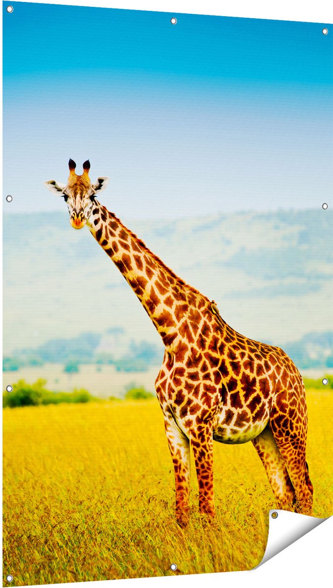 Gards Tuinposter Giraffe in het Veld - 100x150 cm - Tuindoek - Tuindecoratie - Wanddecoratie buiten - Tuinschilderij Multikleur