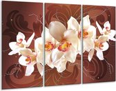 Glasschilderij Orchidee - Bruin, Crème - 120x80cm 3Luik - Foto Op Glas - Geen Acrylglas Schilderij - GroepArt 6000+ Glas Art Collectie - Maatwerk Mogelijk