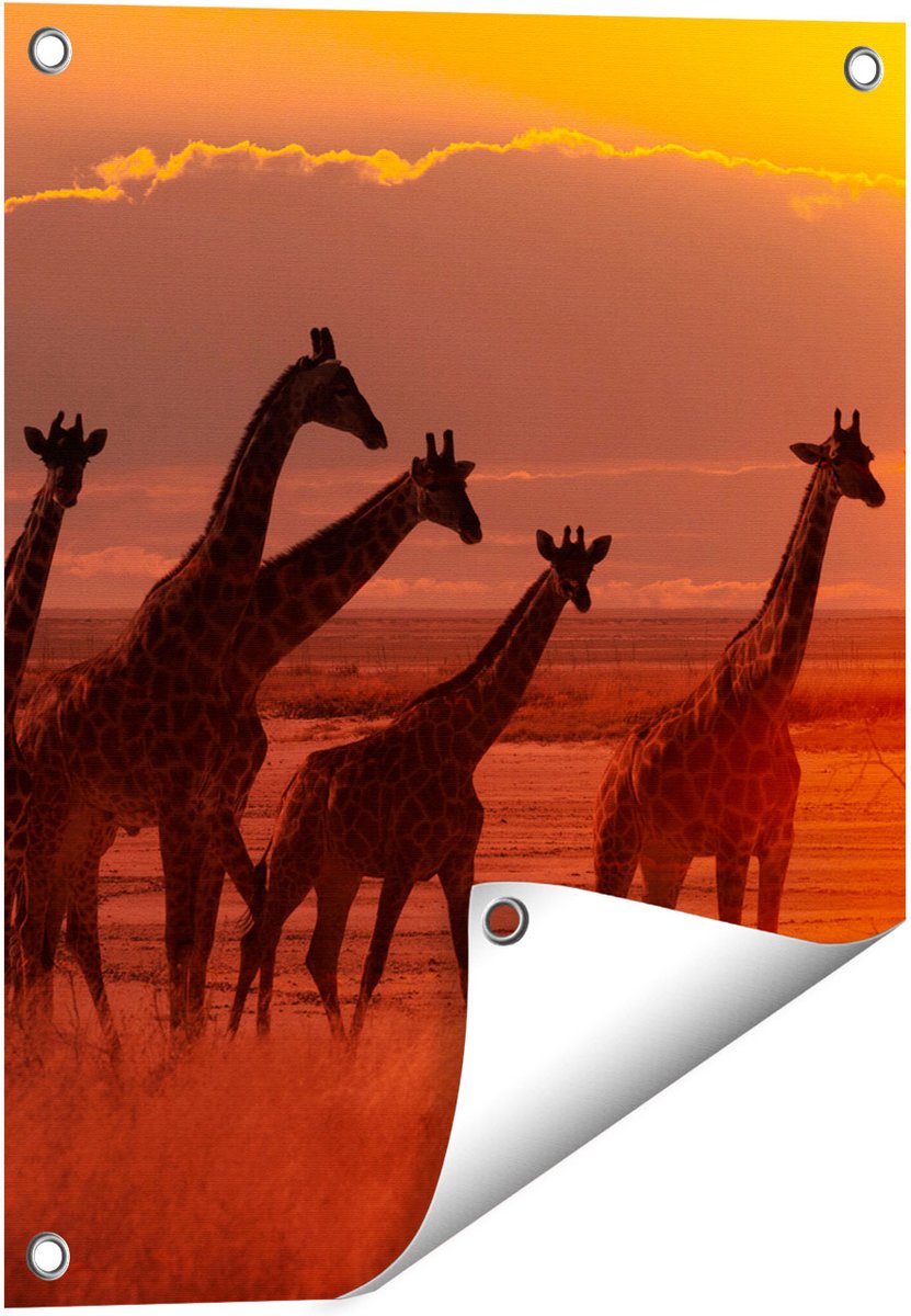 Gards Tuinposter Giraffe Kudde bij Zonsondergang - 40x50 cm - Tuindoek - Tuindecoratie - Wanddecoratie buiten - Tuinschilderij Multikleur