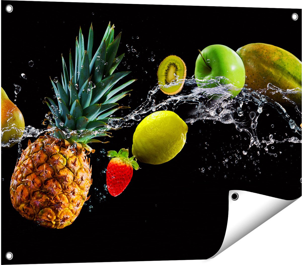 Gards Tuinposter Fruit met Water op Zwart Achtergrond - 80x60 cm - Tuindoek - Tuindecoratie - Wanddecoratie buiten - Tuinschilderij Multikleur