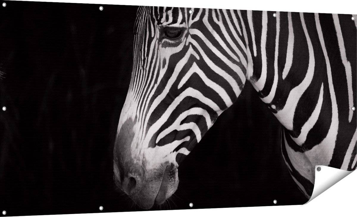 Gards Tuinposter Zebra Kop vanaf de Zijkant - Zwart Wit - 180x90 cm - Tuindoek - Tuindecoratie - Wanddecoratie buiten - Tuinschilderij Multikleur