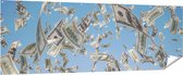 Gards Tuinposter Dollarbiljetten in de Lucht - Geld - 210x70 cm - Tuindoek - Tuindecoratie - Wanddecoratie buiten - Tuinschilderij